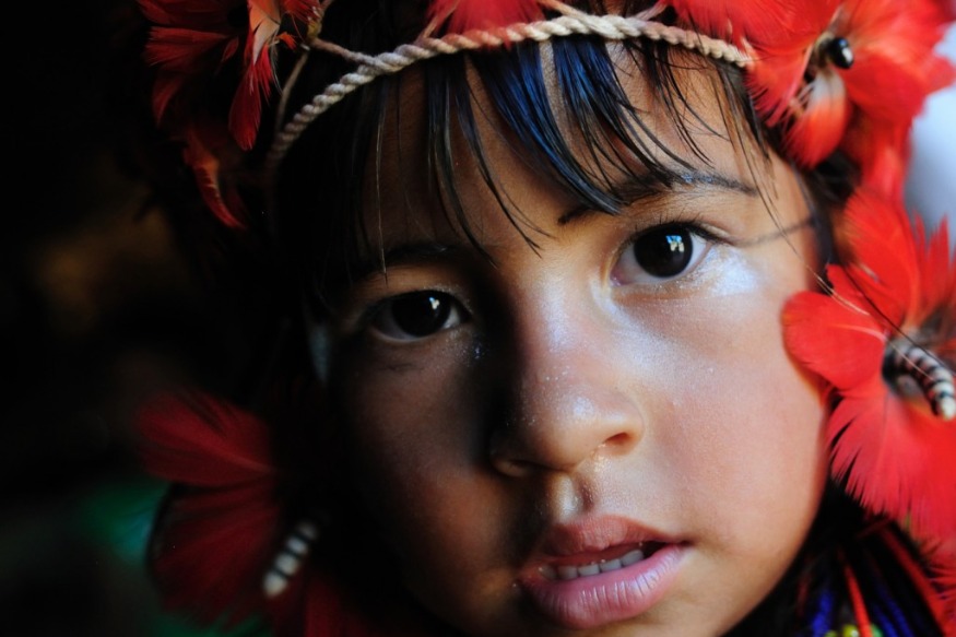 L’Amazonie s’empare du Muséum d’Histoire naturelle de Toulouse pour un voyage unique au cœur de la culture amazonienne !